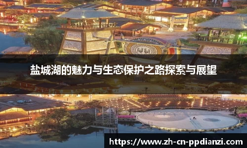盐城湖的魅力与生态保护之路探索与展望